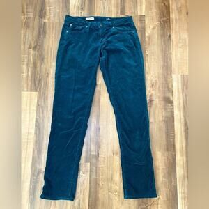 Adriano Goldschmied the Stevie slim straight pants size 27R